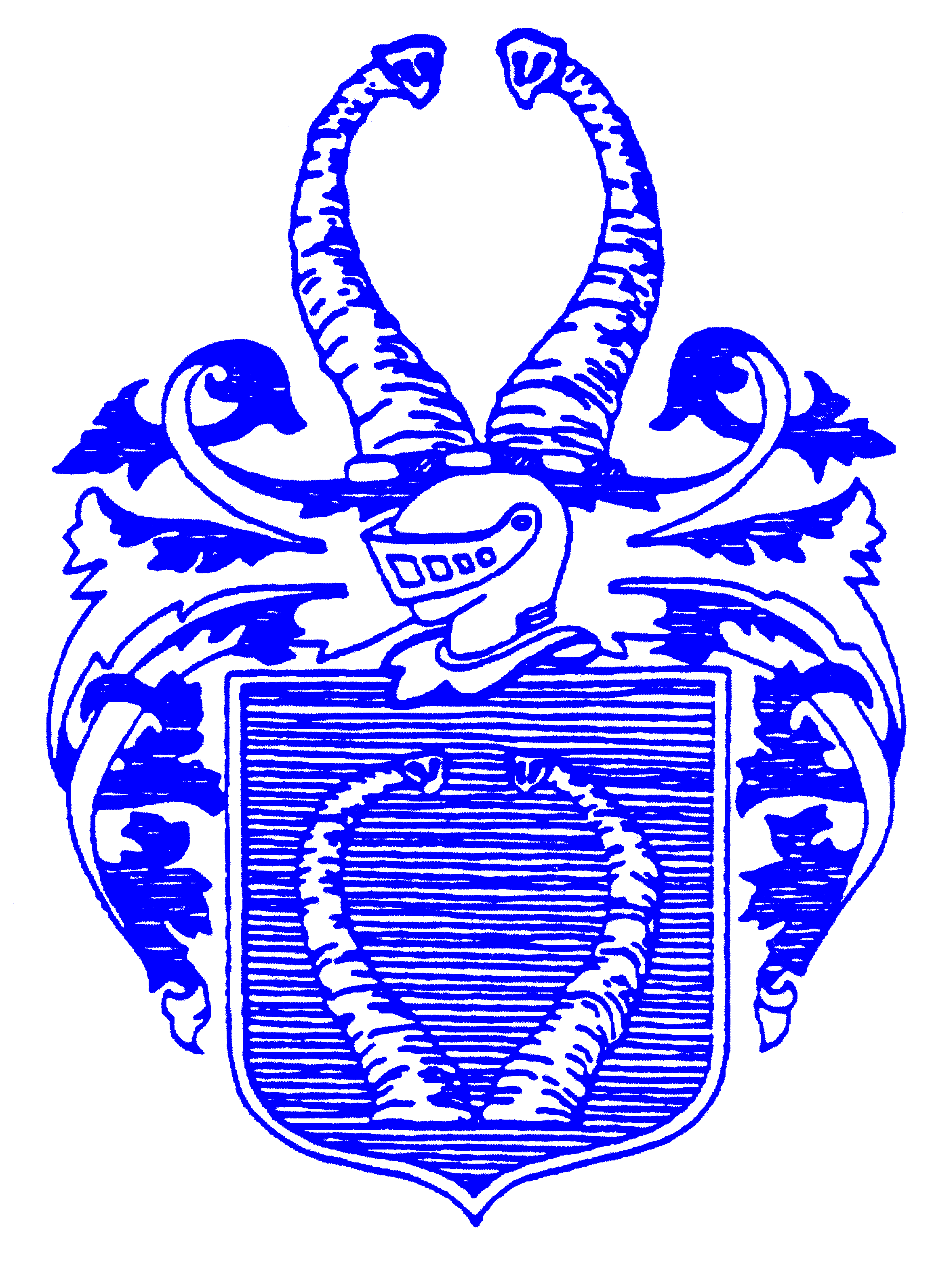 Matteson Family Crest & Mattison